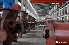 乐鱼在线最新官网-乐鱼(中国)被评为2019年度三水区骨干企业